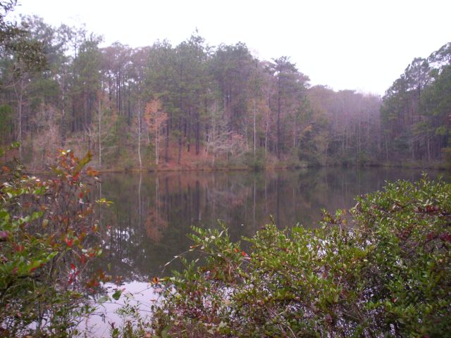 Lake at Falling Waters State Park