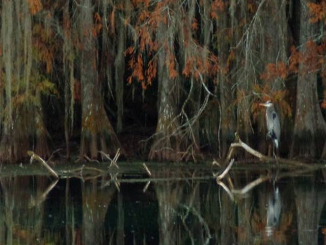 Merritts Mill Pond, Marianna, FL